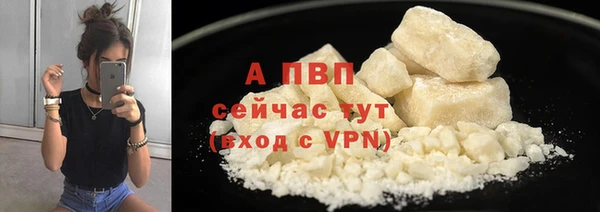 гидра Нея