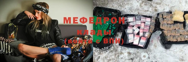индика Медвежьегорск