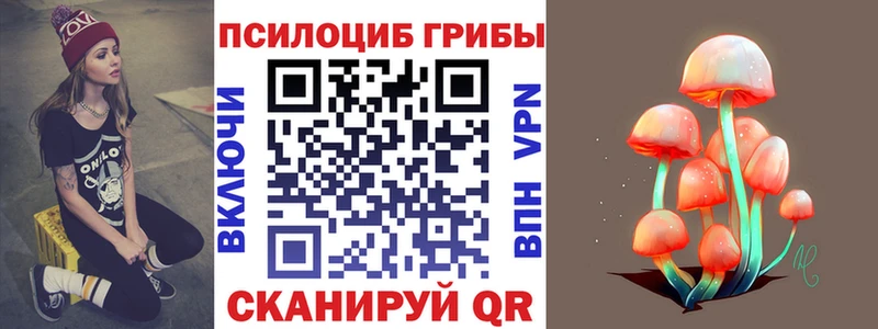 сколько стоит  Кашин  Псилоцибиновые грибы ЛСД 